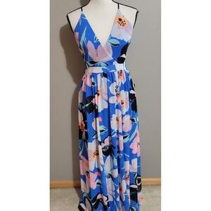 Floral V-Neck Maxi Dress in Blue and Pink